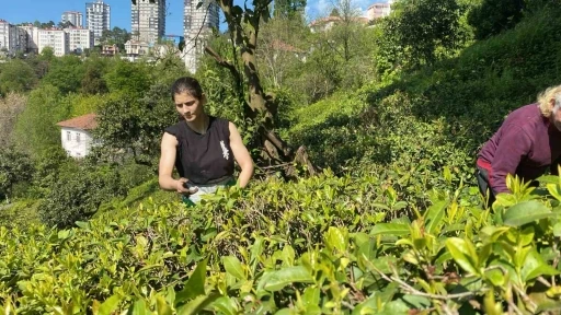 Çay bahçesinden, Dünya Şampiyonası’na

