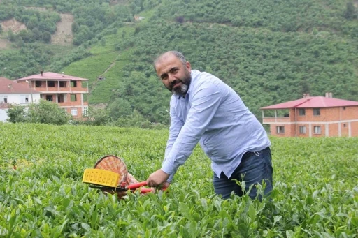 &Ccedil;ay &uuml;reticileri yaş &ccedil;ay alım fiyatındaki artış sonrası kuru &ccedil;aya da zam bekliyor
