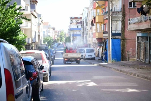 &Ccedil;ayırova&rsquo;da daha rahat bir yaz i&ccedil;in vekt&ouml;rle m&uuml;cadeleye hız verildi
