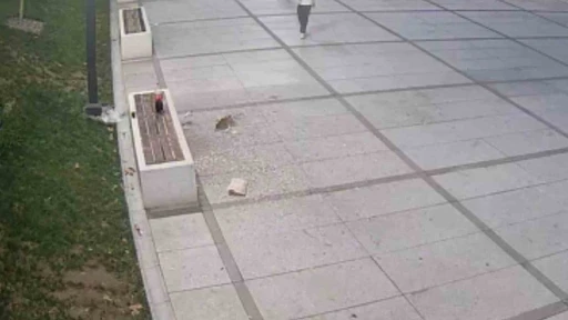 Çekirdek keyfi pahalıya patladı
