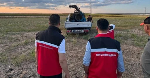&Ccedil;ekirge &uuml;reme alanları ila&ccedil;landı
