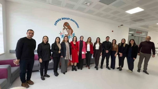 &Ccedil;ermik Devlet Hastanesi Anne Dostu Hastane &uuml;nvanı aldı
