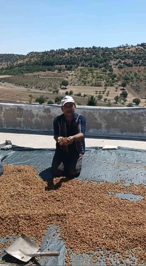 &Ccedil;ermik&rsquo;te dutlar pazardaki yerini aldı
