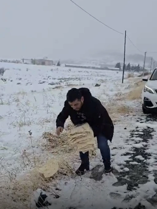 &Ccedil;ermik&rsquo;te yaban hayvanları i&ccedil;in doğaya yem bırakıldı
