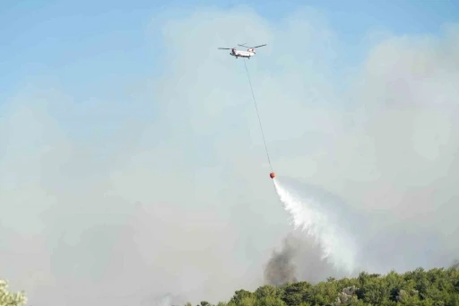 Çeşme’de 2 mahalle tahliye edildi
