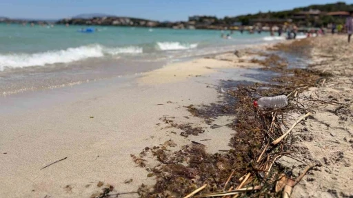 &Ccedil;eşme sahillerindeki kirlilik tatilcilerin tepkisine neden oldu
