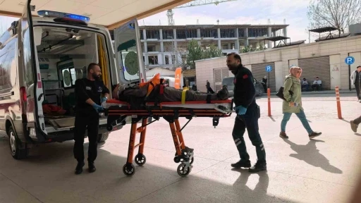 Ceviz ağacından d&uuml;şen yaşlı adam ağır yaralandı
