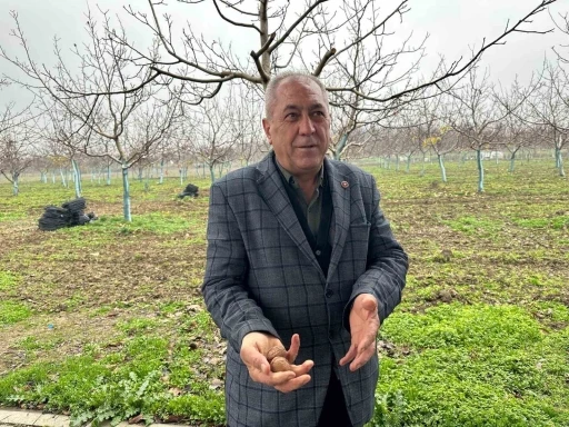 Cevizle yaşam şartları değişen k&ouml;yde İstanbullular da bah&ccedil;e kuruyor
