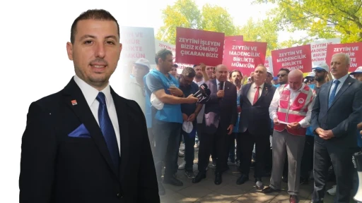 CHP'den AK Parti'ye Zeytinlik Tepkisi