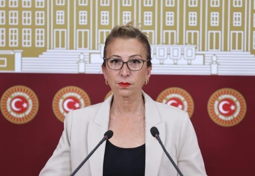 CHP'den Zeytinlikleri Koruma Çağrısı