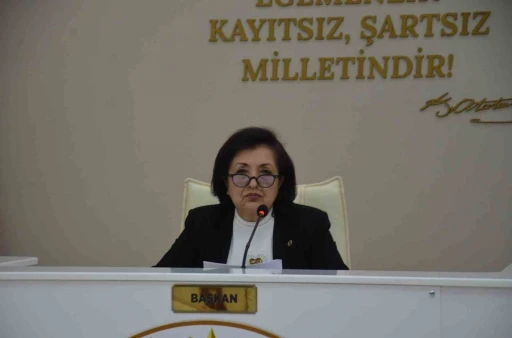 CHP&rsquo;li Belediye Meclis &uuml;yesi Tan, komisyon g&ouml;revlerinden istifa etti
