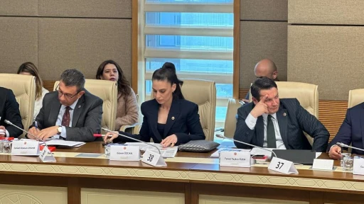CHP’li Özcan’dan Yargı Eleştirisi