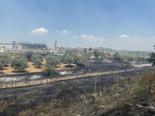 Çift sürülen tarla yangında zarar görmedi

