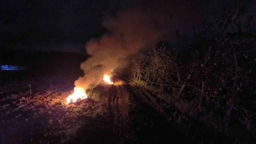 Çiftçiler meyvelerini korumak için tarlasını ateşe verdi
