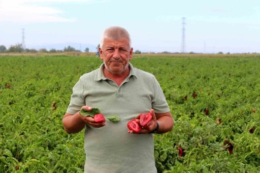 &Ccedil;ift&ccedil;ilerden &ccedil;ağrı: "&Uuml;retim maliyetleri baskılanamaz hale geldi"
