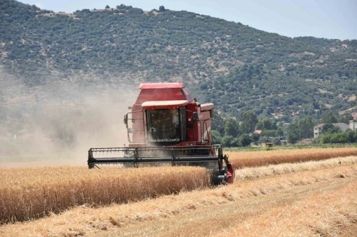 Çiftçilerden hayvan üreticilerine kritik uyarı: &quot;Elinizi Çabuk Tutun&quot;
