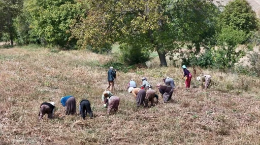 Bakan Yumaklı'dan Çiftçiye Müjde