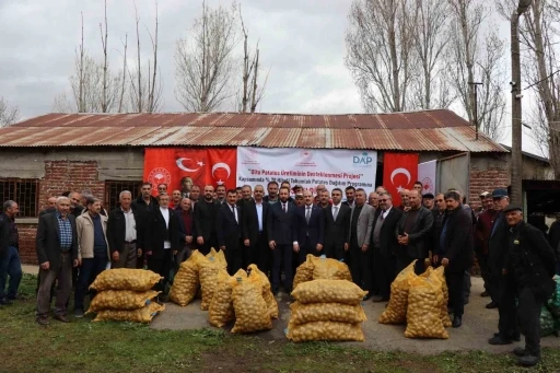Çiftçilere hibe patates tohumu desteği
