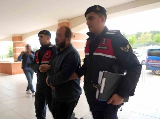 Çiftlik evlerini kenevir serasına çeviren sanıkların yargılanmasına devam edildi
