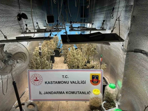 Çiftlik evlerini kenevir yetiştiren sanıklar tahliye edildi
