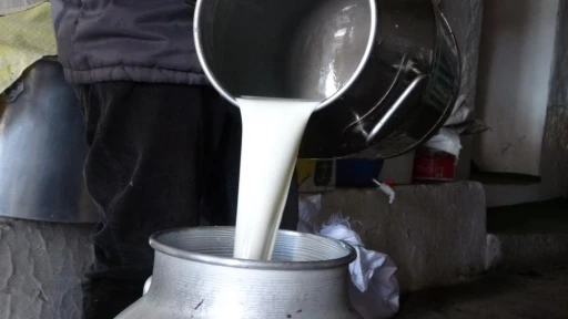 &Ccedil;iğ s&uuml;t fiyatları belli
