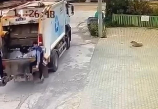 Çiğli Belediyesi çöp kamyonu köpeği ezdi, durmadan yoluna devam etti
