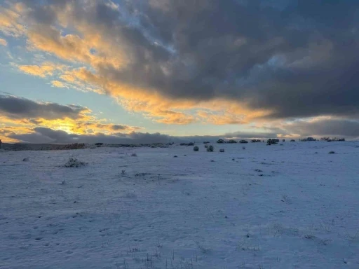 &Ccedil;imsa, şehitlik i&ccedil;in 80 yıllık rezervden feragat ediyor
