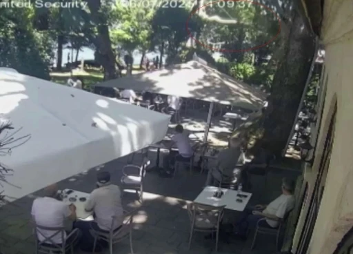 Çınardan kopan dal can aldı: O anlar kamerada
