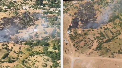 Çine'de Orman Yangını