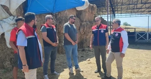 &Ccedil;ine&rsquo;de &uuml;reticiye 30 baş et&ccedil;i d&uuml;ve desteği
