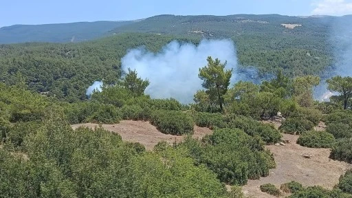 &Ccedil;İNE&rsquo;DEKİ YANGIN S&Ouml;ND&Uuml;R&Uuml;LD&Uuml;