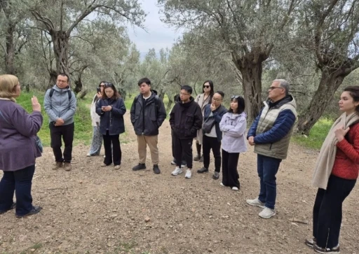 Çinli turizm temsilcileri Antandros Antik Kenti’ne ziyaret
