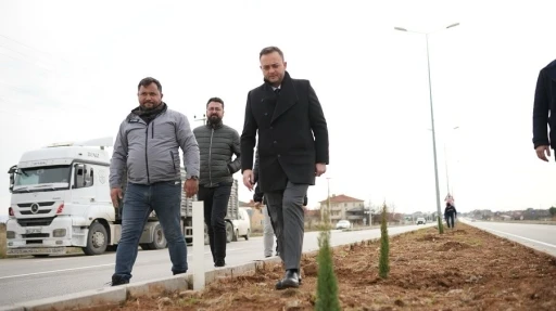 &Ccedil;ivril&rsquo;de peyzaj &ccedil;alışmaları devam ediyor
