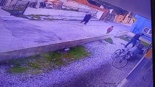 &Ccedil;ocukların g&ouml;z&uuml; &ouml;n&uuml;nde k&ouml;peği katletti
