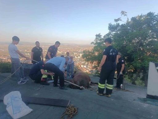 &Ccedil;&ouml;ken &ccedil;atıda mahsur kalan ineği itfaiye kurtardı
