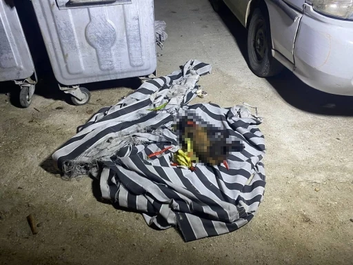 Çöp konteynerindeki yangın sonrası köpeğin telef olduğu ortaya çıktı
