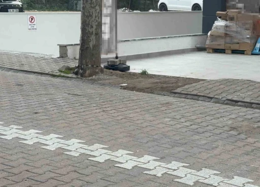 Çöpe atmak için yerden aldığı kargo poşetinin içinden 60 bin dolar çıktı
