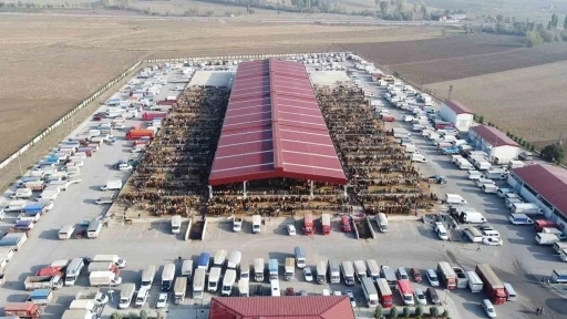 Çoru’da kurban pazarı yarın açılıyor
