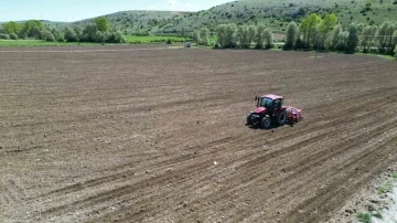 Çorum Belediyesi, ayçiçeği ekimine başladı
