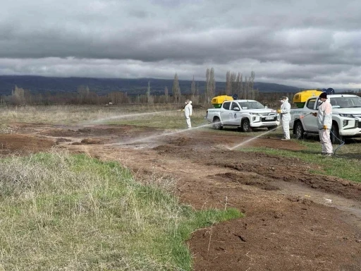 &Ccedil;orum Belediyesi&rsquo;nden yaz &ouml;ncesi vekt&ouml;rle m&uuml;cadele
