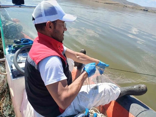 &Ccedil;orum&rsquo;da 3 bin 100 metre hayalet ağ ele ge&ccedil;irildi
