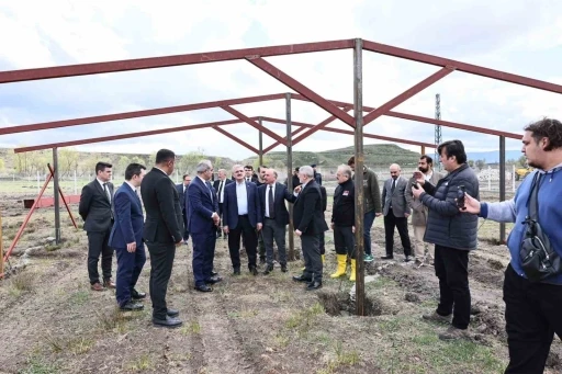 Israf Edilen Atıklardan Hayvan Maması Üretilecek