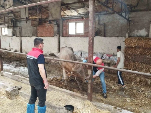 Çorum’da hayvan pazarları kapatıldı

