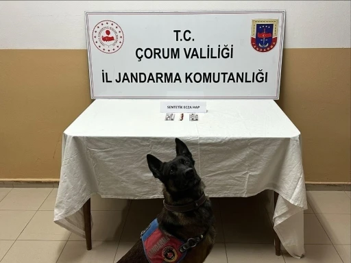 &Ccedil;orum&rsquo;da uyuşturucu hapla yakalanan 3 kişi g&ouml;zaltına alındı
