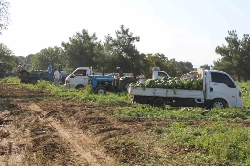 Çukurova’dan sonra Türkiye’nin gözü burada
