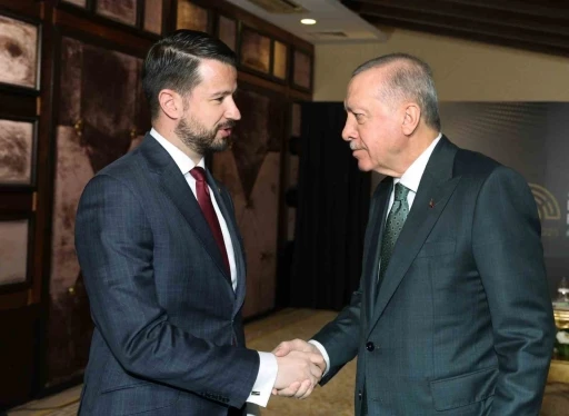 Cumhurbaşkanı Erdoğan, Karadağ Cumhurbaşkanı Milatoviç ile görüştü
