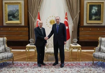 Cumhurbaşkanı Erdoğan, MHP Lideri Bahçeli ile görüştü
