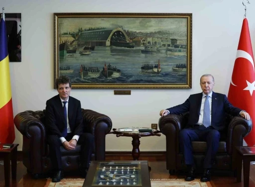Cumhurbaşkanı Erdoğan, Romanya Cumhurbaşkanı Dan ile b&ouml;lgesel gelişmeleri g&ouml;r&uuml;şt&uuml;
