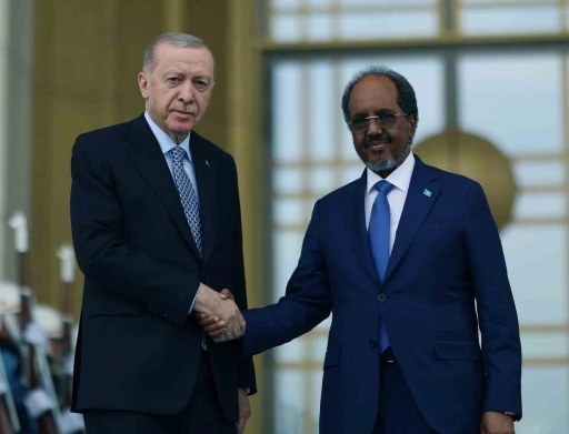 Cumhurbaşkanı Erdoğan, Somali Cumhurbaşkanı Şeyh Mahmud ile görüştü
