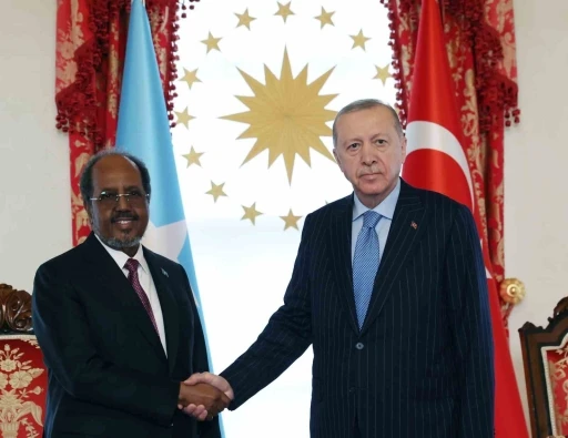 Cumhurbaşkanı Erdoğan, Somalili mevkidaşı Hasan Şeyh Mahmud&rsquo;la bir araya geldi
